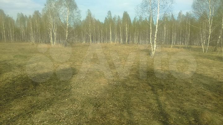 Участок 36 сот. (ИЖС)