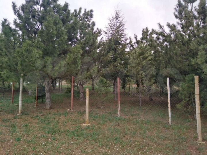 Участок 12 сот. (СНТ, ДНП)