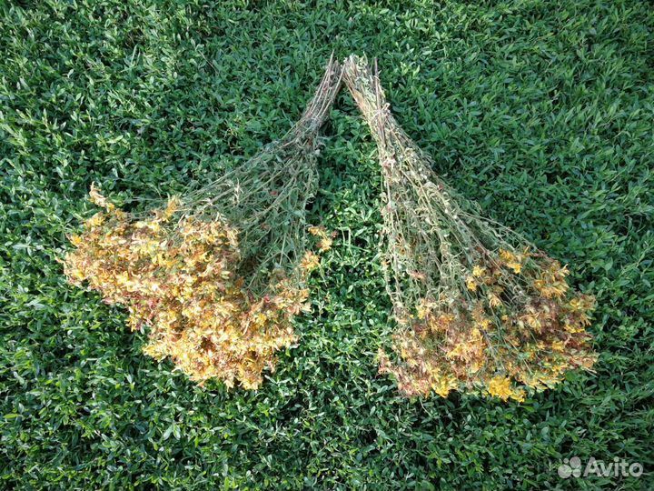 Травы для чая и бани