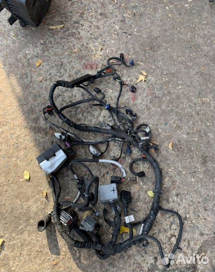 Проводка двс Chevrolet Captiva