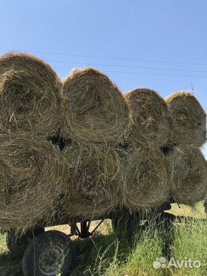 Сено в тюках