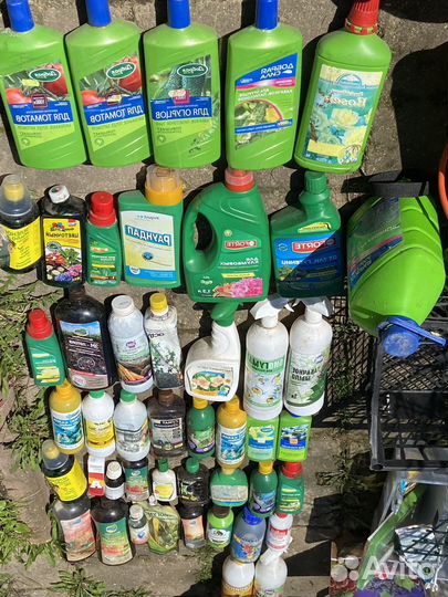 Удобрения для сада и огорода