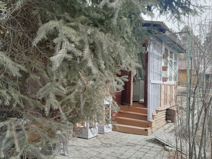 Дача 32 м² на участке 6 сот.