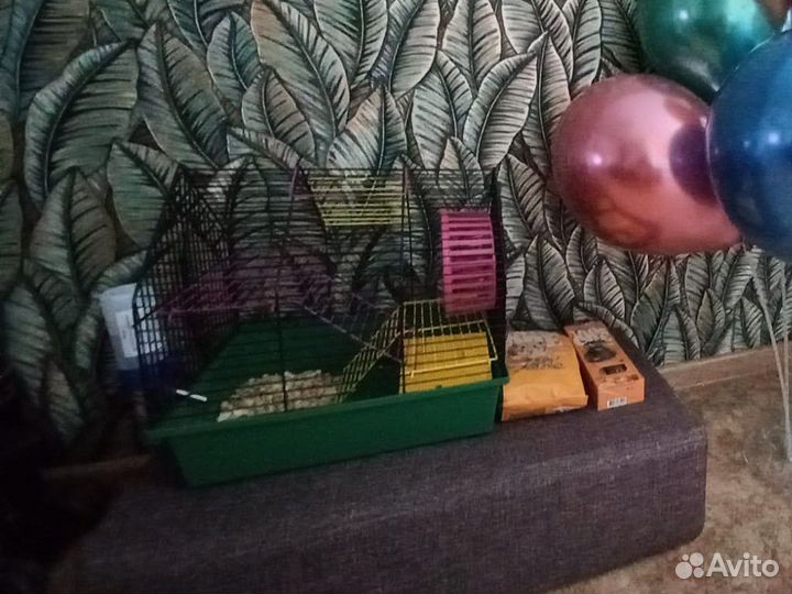 Клетка для грызунов