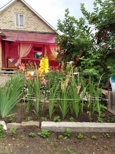 Дом 54,5 м² на участке 43,6 сот.