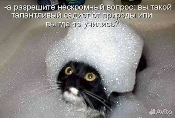 Очки с диоптриями (и + ) и др