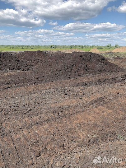 Торф низинный