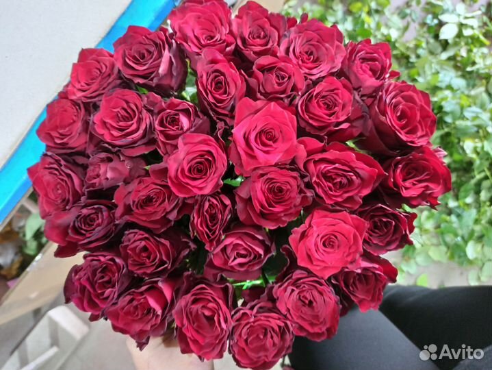 Розы высокие