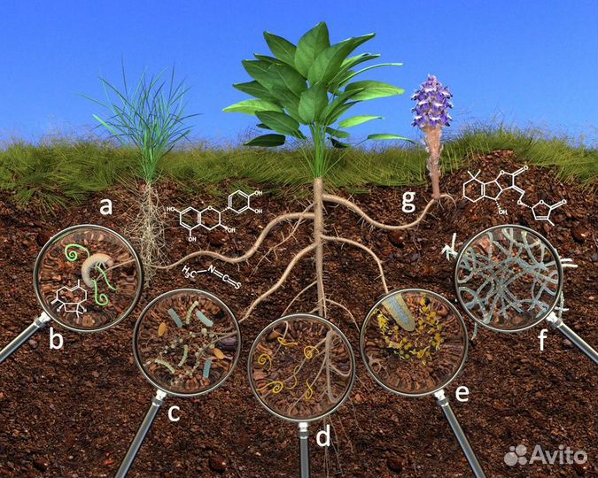Субстрат мелиорант terra-husk и terra-urb