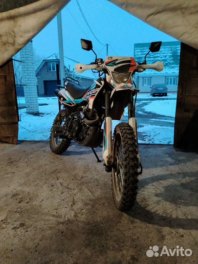 Pecer Panther 250