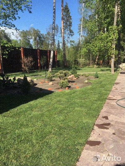 Укладка рулонного газона эконом