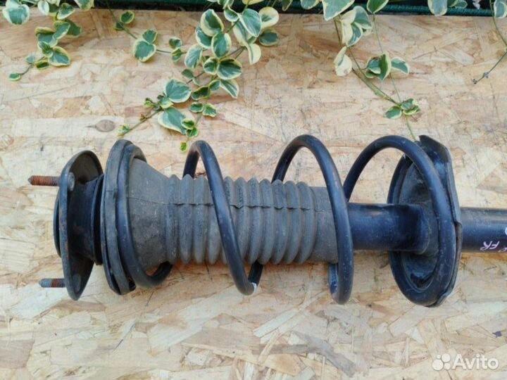 Стойка подвески передняя правая Toyota Ist NCP60