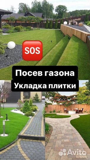 Газон.Посев газона