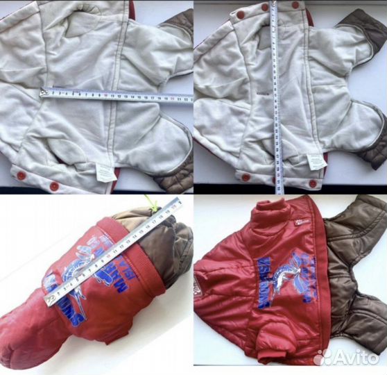 Одежда для собаки