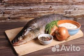 Свежий речной судак