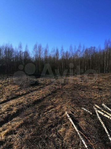 Участок 15 сот. (ИЖС)