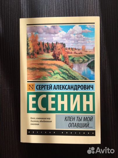 Книги русская лирика/поэзия