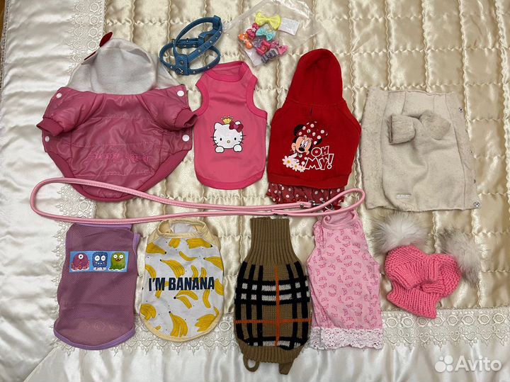 Одежда для собак