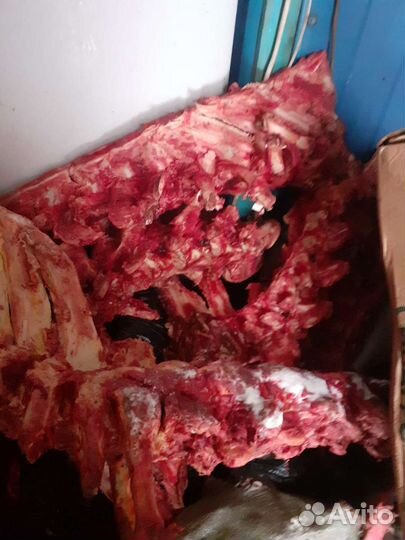 Кости для собак, корм, мясо