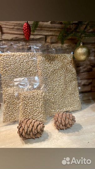 Кедровые орехи 2022 г