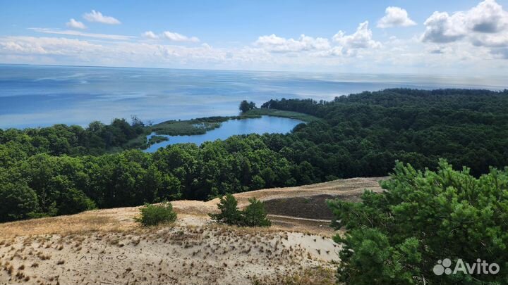 Экскурсии на Куршскую косу