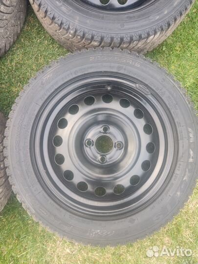 Maxxis Premitra Ice Nord NS5 205/55 R16