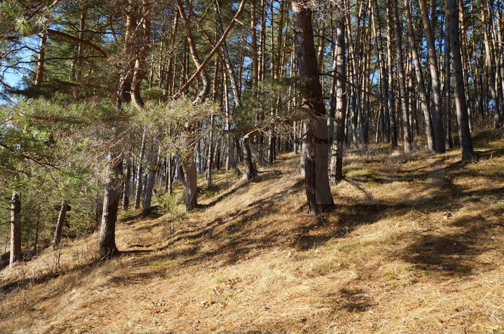 Участок 1,85 га (ИЖС)