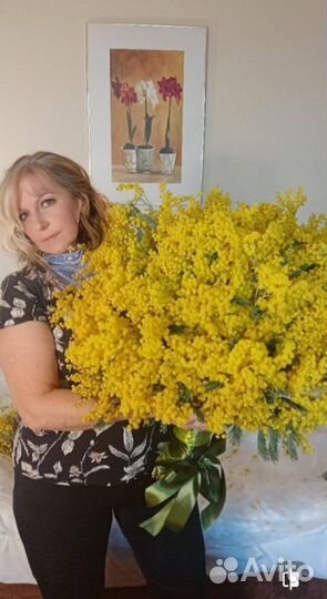 Бригадир, администратор