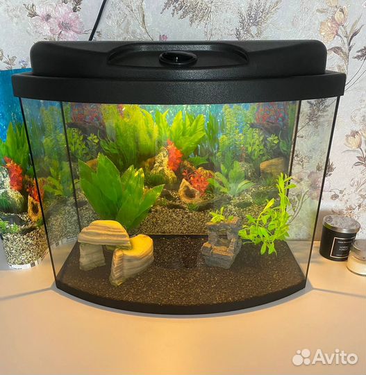 Аквариум 40 литров