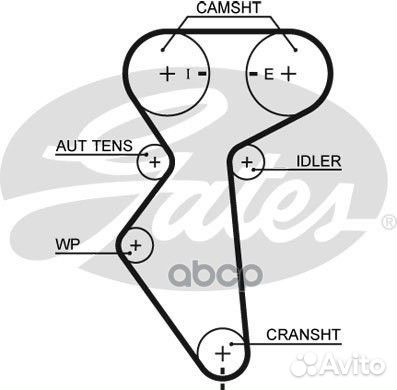 Ремень грм daewoo/chevrolet 1.5,1.6L 16V 127з 5