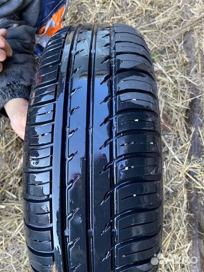 Alaska 260 175/65 R14