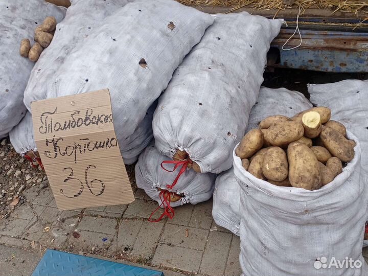 Картофель