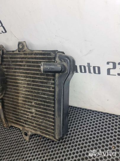 Радиатор Suzuki gsx400f