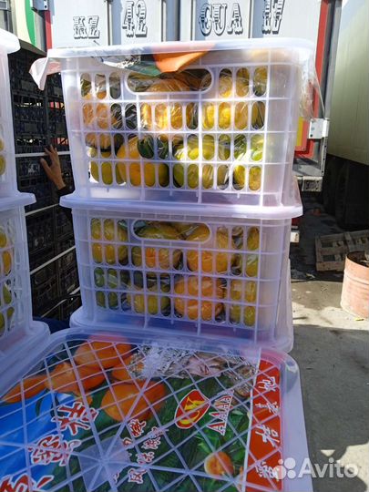 Мандарин Сладкий Свежий Доставка