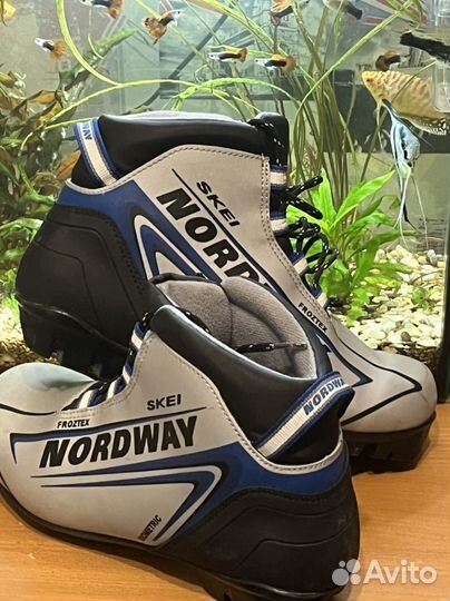 Лыжные ботинки