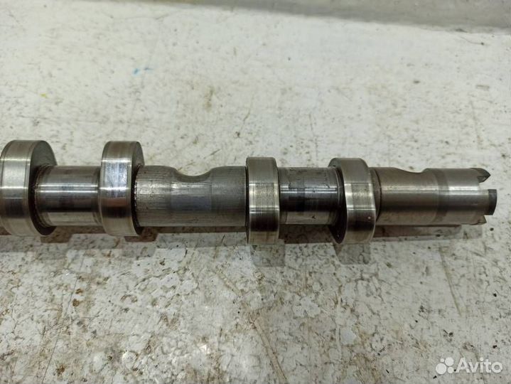 Распредвал выпускной Ауди