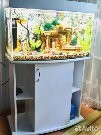 Аквариум на 100 литров