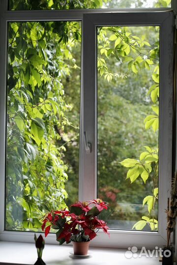 Окна пластиковые в Анапе