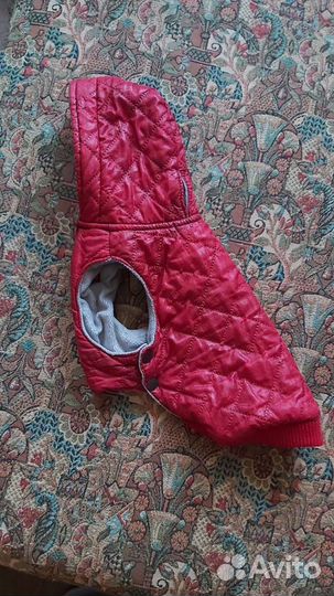 Жилетка для собаки