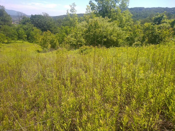 Участок 1,15 га (ИЖС)