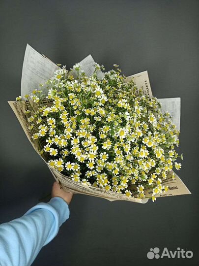 Цветы/Букеты/Композиции