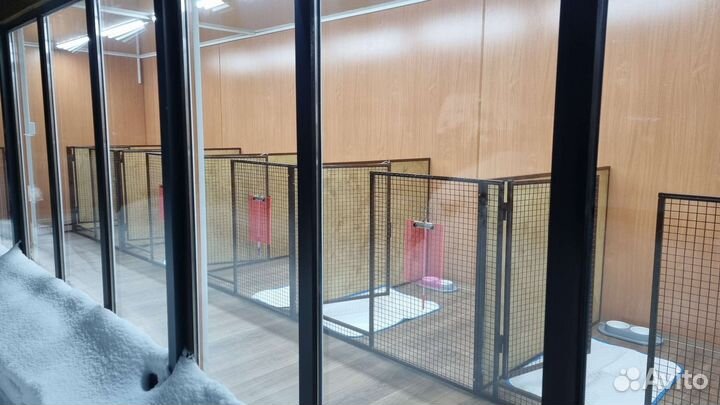 Зоогостиница для собак