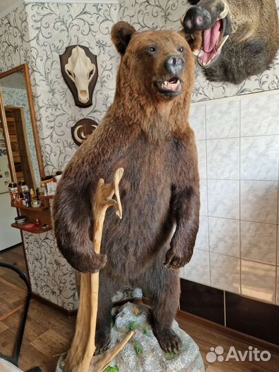 Имитация медведя