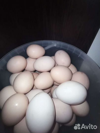 Фермерские продукты