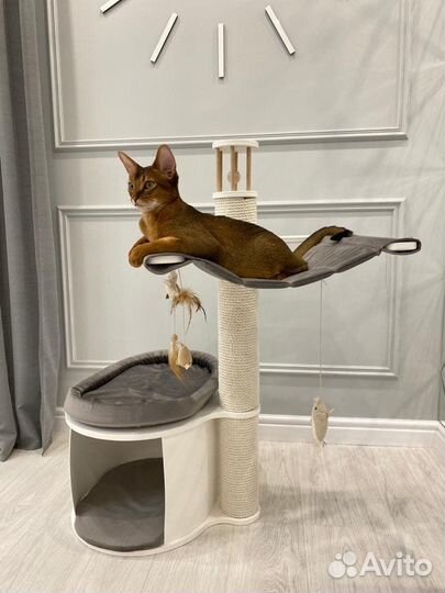 Когтеточка дом для кошки
