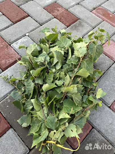 Веники банные