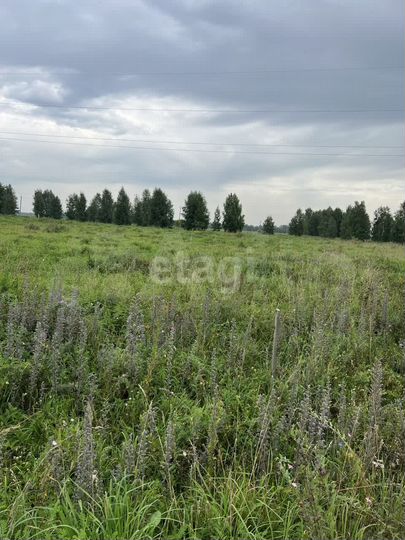 Участок 12,5 сот. (ИЖС)