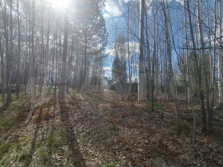 Участок 10 сот. (СНТ, ДНП)