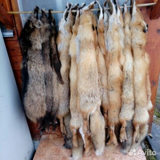 Шкуры лисы с выделкой