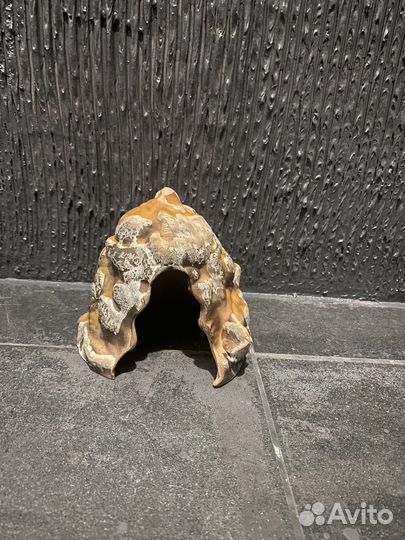 Для аквариума